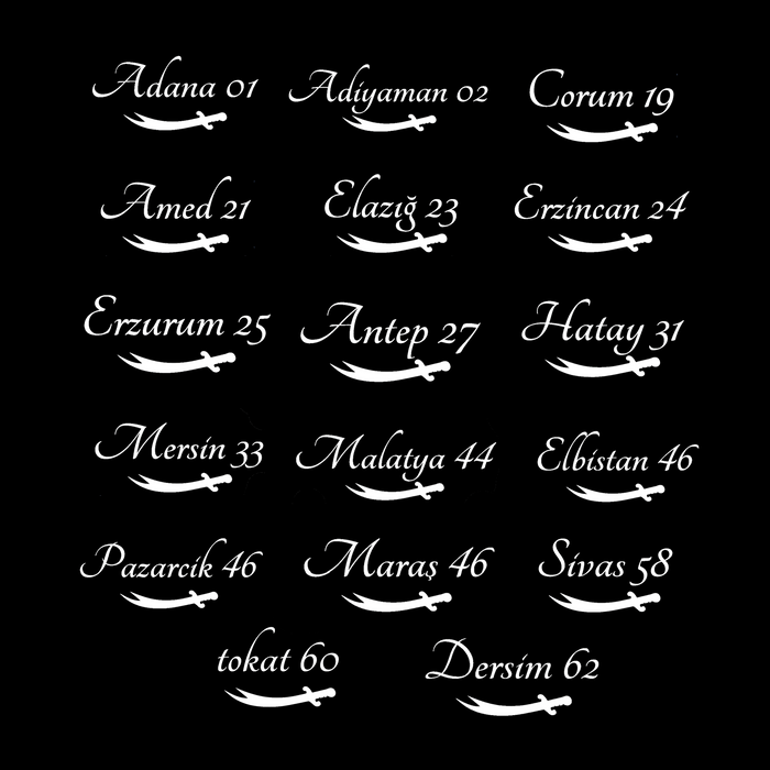 Car stickers city names