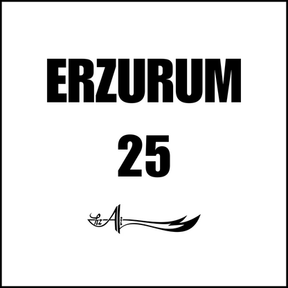 Wandbild Poster 3-Teilig (SELBER AUSSUCHEN)